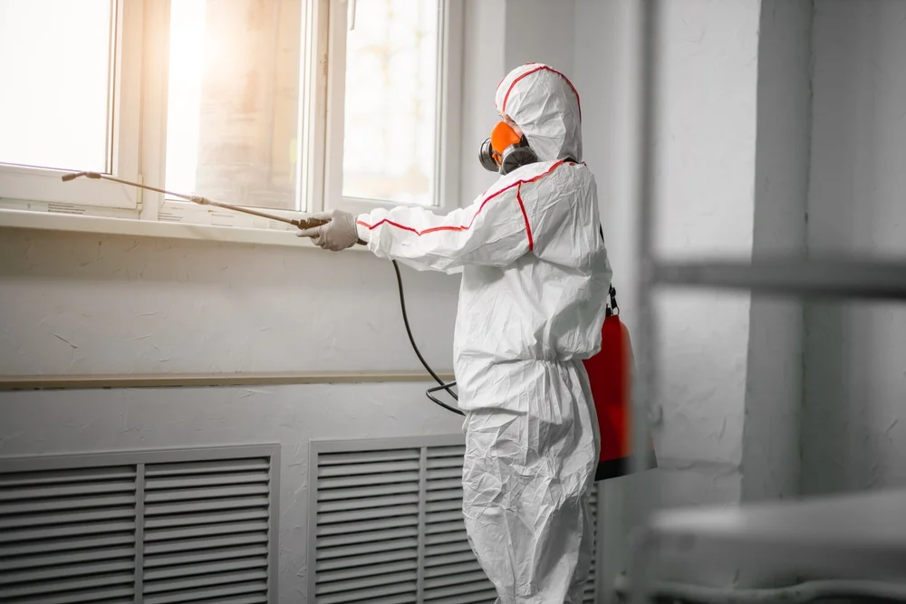 Professional mold remediation services in Cocoa, FL